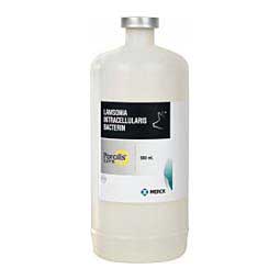 Porcilis Ileitis Swine Vaccine  Merck